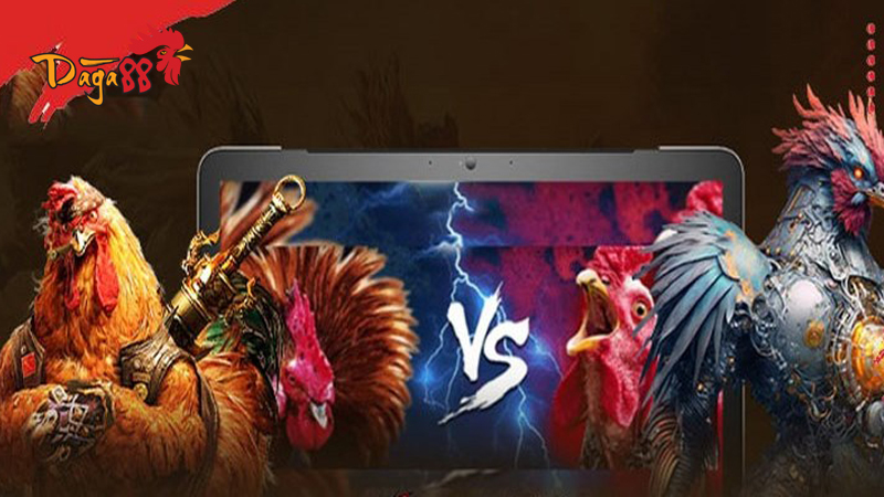 Điều khoản và điều kiện tại Đá Gà 88: Rõ Ràng Minh Bạch nhất 2 dieu-khoan-va-dieu-kien-tai-da-ga-88-2