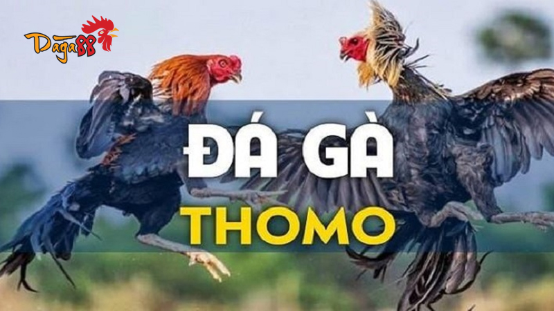 Hướng Dẫn Truy Cập Daga88 Không Bị Chặn An Toàn Nhất 1 huong-dan-truy-cap-daga88-khong-bi-chan-4