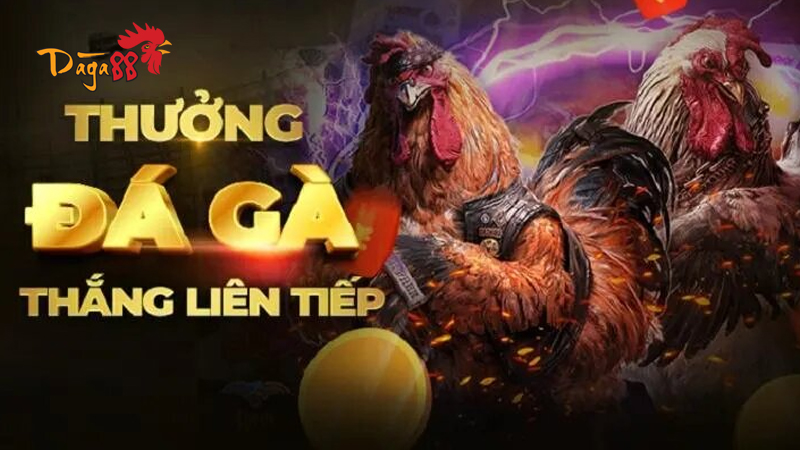 Khuyến Mãi Đá Gà 88 - Nhiều Phần Quà Hấp Dẫn Đang Chờ Bạn 1 khuyen-mai-da-ga-88-4